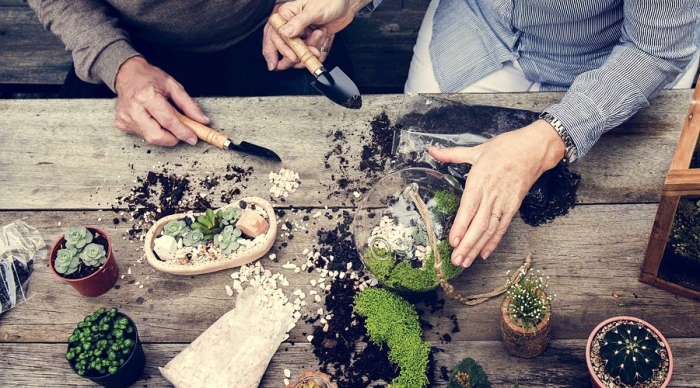 A miniature garden in a glass container